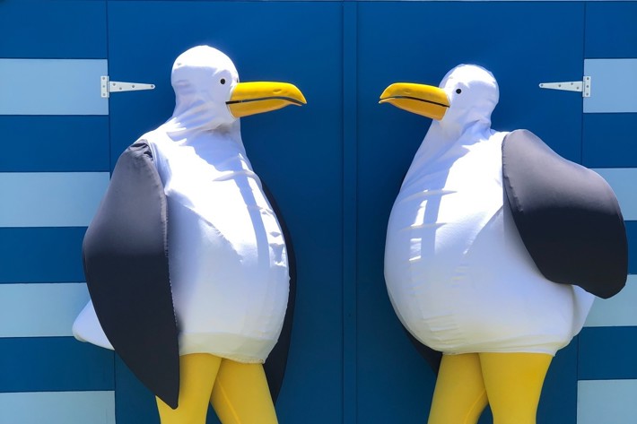 Two people wearing seagull costumes, facing each other, leaning against a blue stripped beach shed.